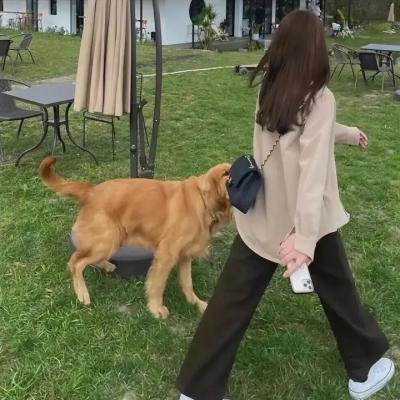 回声谷
